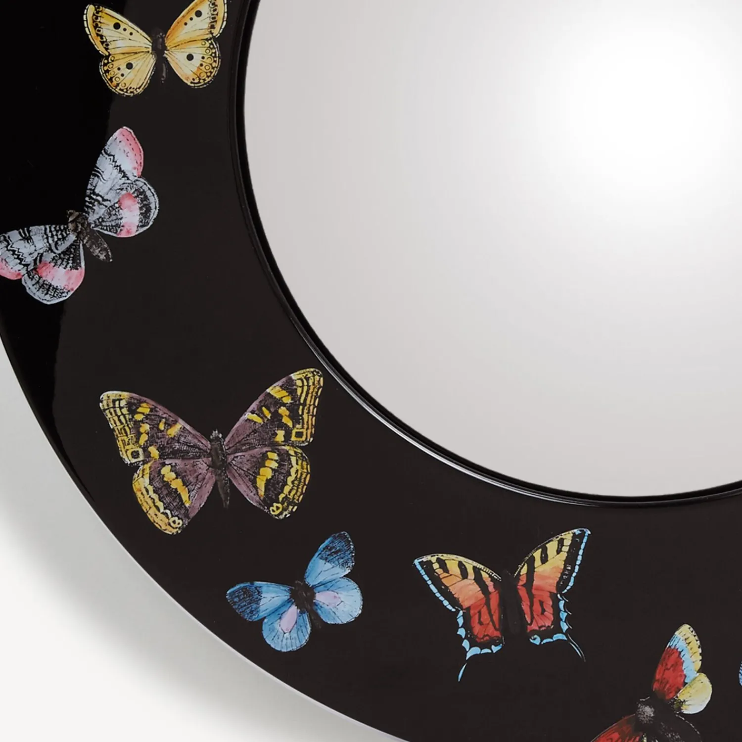 Clearance Cornice Con Specchio Convesso Farfalle Specchi Di Design