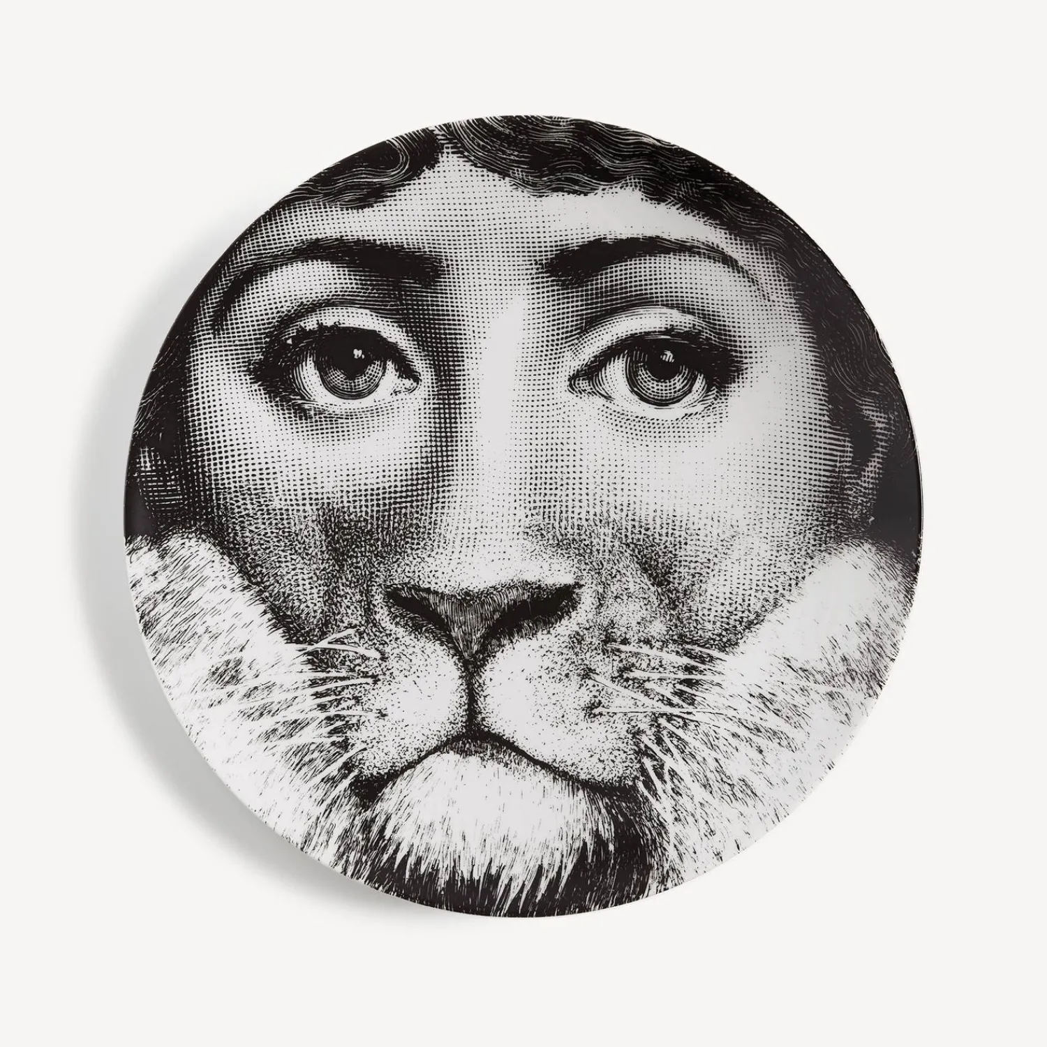 Shop Piatto Da Muro Tema E Variazioni N.143 Animali