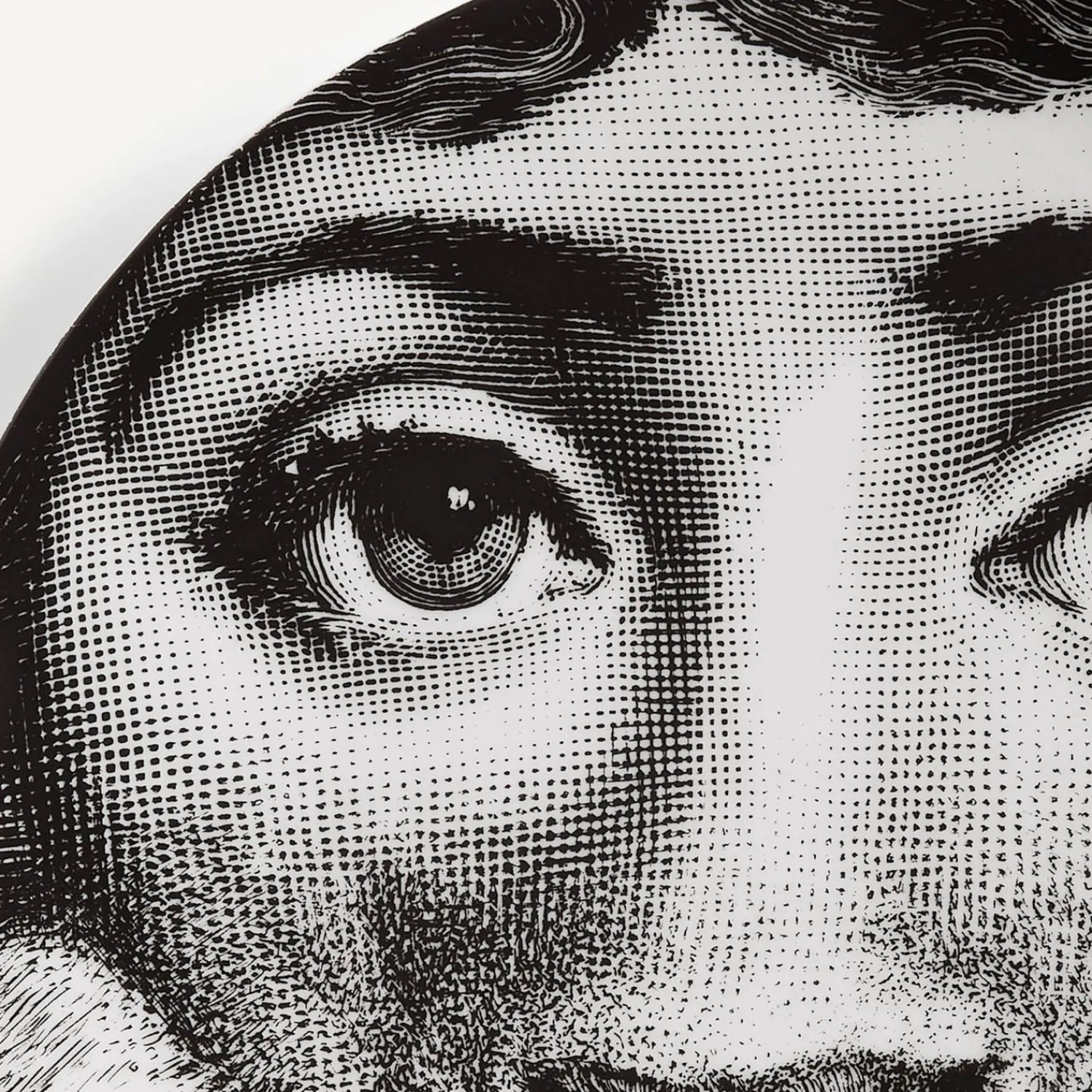 Shop Piatto Da Muro Tema E Variazioni N.143 Animali