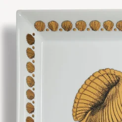 Cheap Piatto Quadrato Giro Di Conchiglie Piatti Decorativi