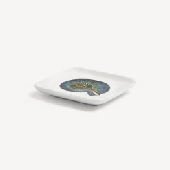 New Posacenere Conchiglia Fossile Posacenere Di Design