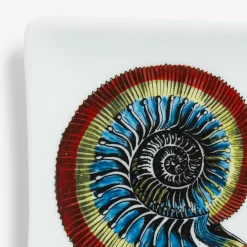 Cheap Posacenere Rettangolare Giro Di Conchiglie Posacenere Di Design